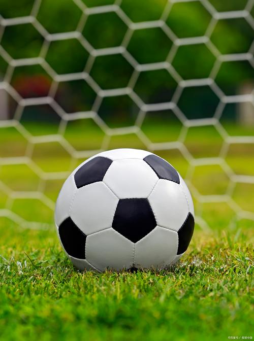 《省钱攻略：个人租用服务器价格表大公开，轻松找到性价比之王！》