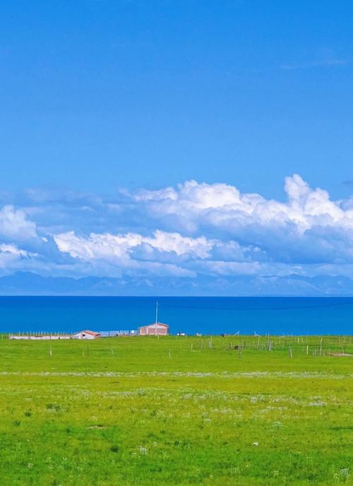 《任天堂美国服务器IP大揭秘：解锁高速联机与隐藏内容的终极指南》